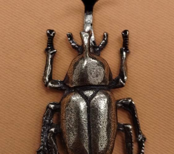 Escarabajo Hércules - Dynastes
